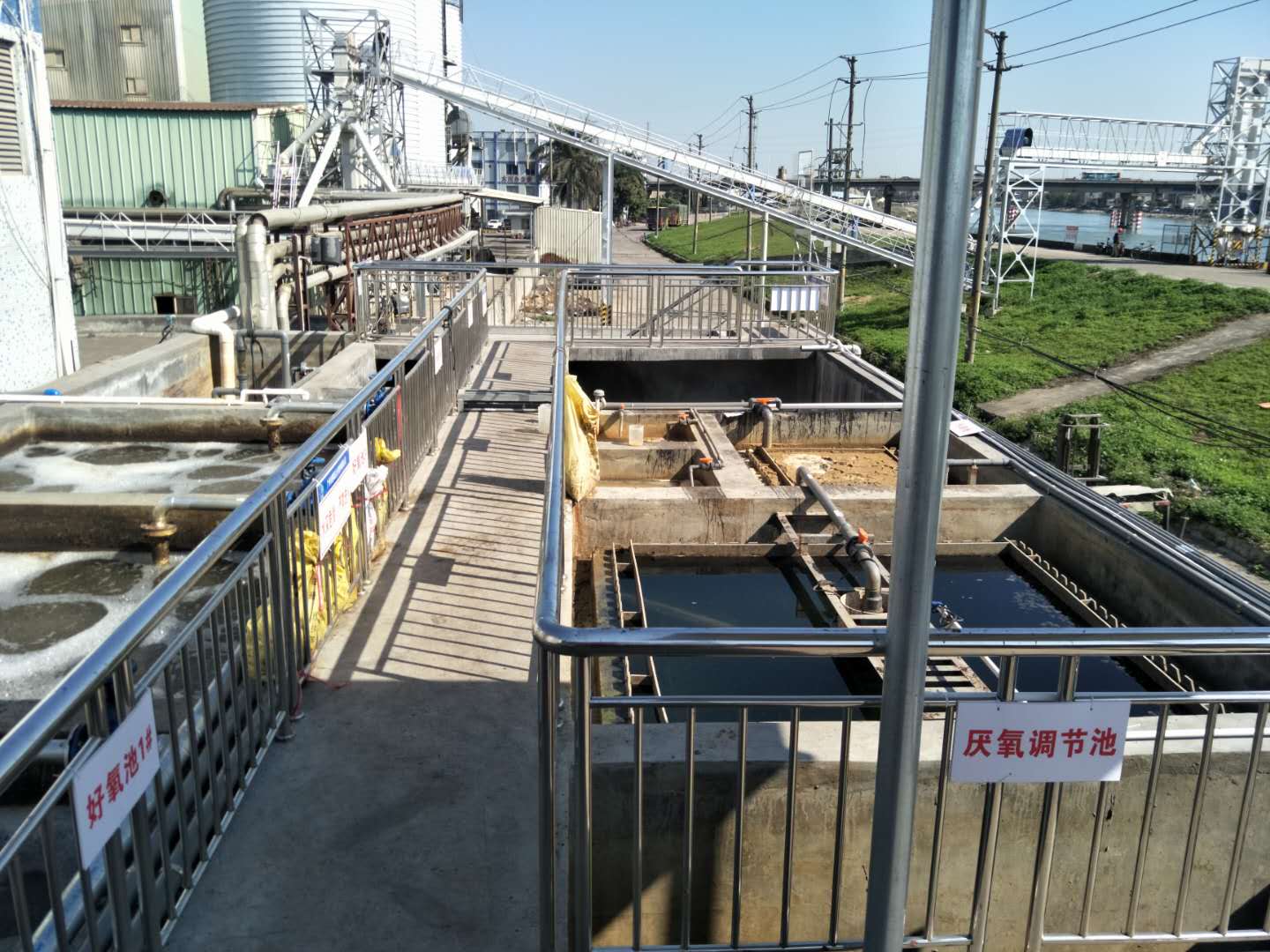 食品廢水植物處理技術，你知道嗎？